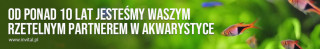 Product category banner